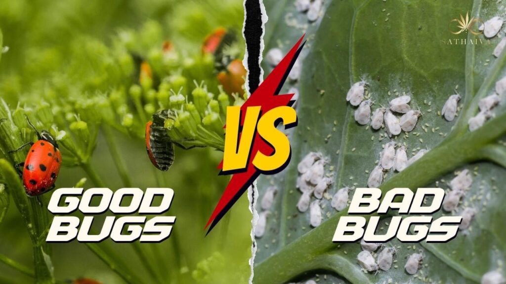 good bugs vs bad bugs