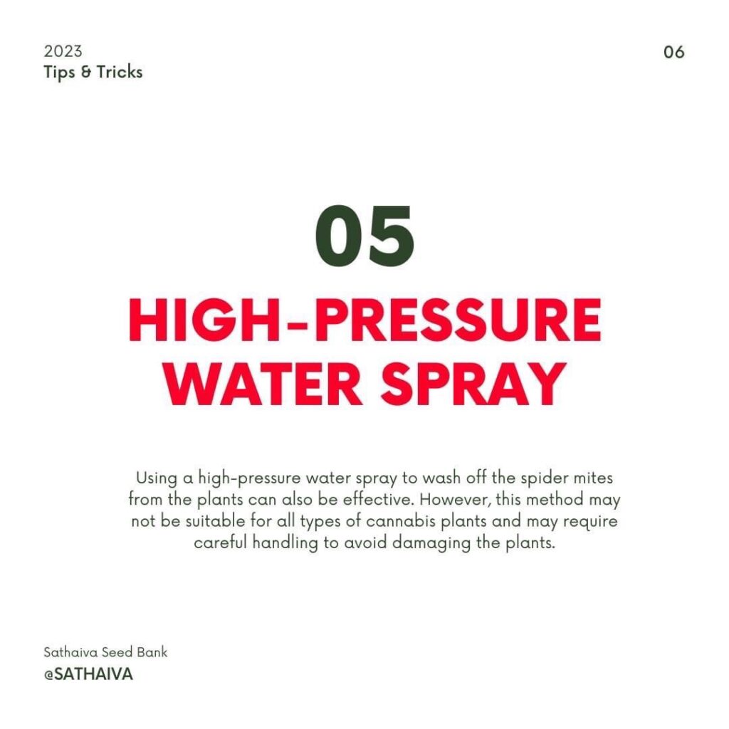 high-pressure water spray - cannabis